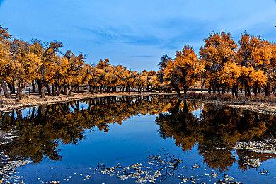 日本一公布RPG新作《魔物饭大冒险》 明年1月发售